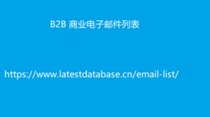 B2B 商业电子邮件列表9